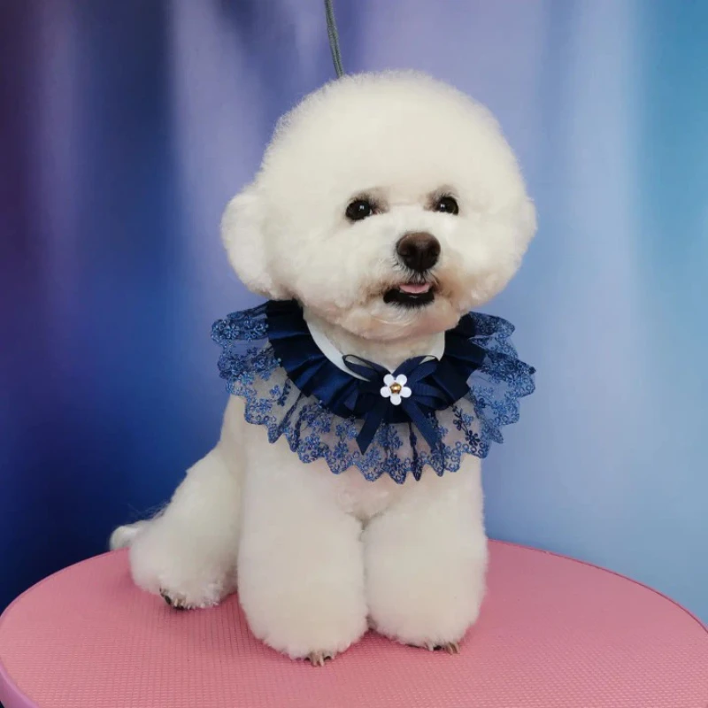 Fashion Bowknot Pet Collar Lace Bibs Cute Lace Pet Collar Bib Lovely Dog Cat Necklace Decor Collars for Small Dog Pink Collar
Fashion Bowknot Pet Collar Lace Bibs Cute Lace Pet Collar Bib Lovely Dog Cat Necklace Decor Collars for Small Dog Pink Collar