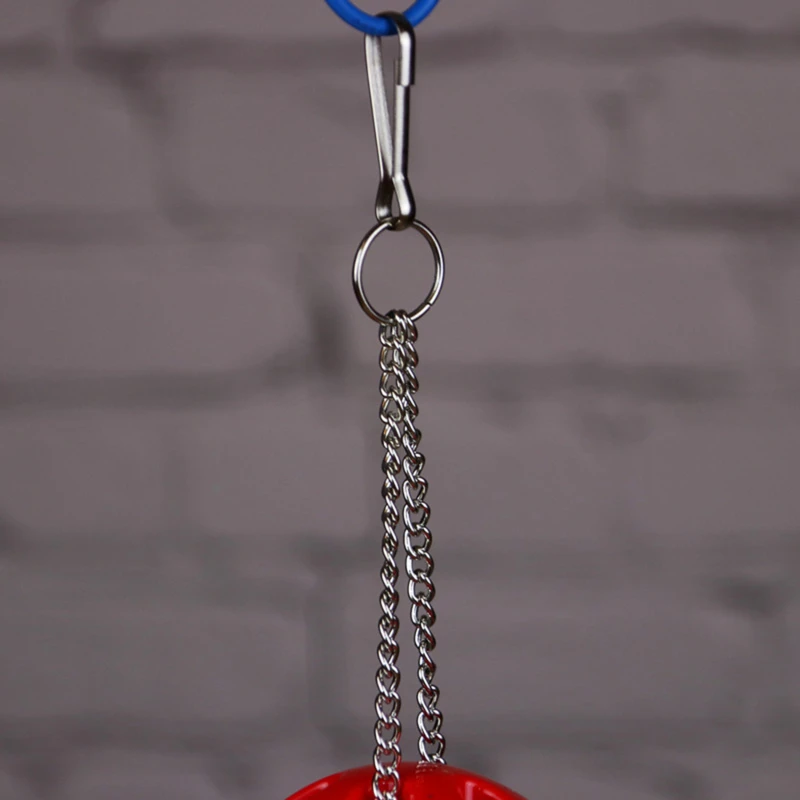 Cute Parrot Toys Pet Bird Parakeet Climb Bite Chew With Hanging Swing Bell Ball Bird Toy Pet Supplies For Parakeet Cockati 
Cute Parrot Toys Pet Bird Parakeet Climb Bite Chew With Hanging Swing Bell Ball Bird Toy Pet Supplies For Parakeet Cockati