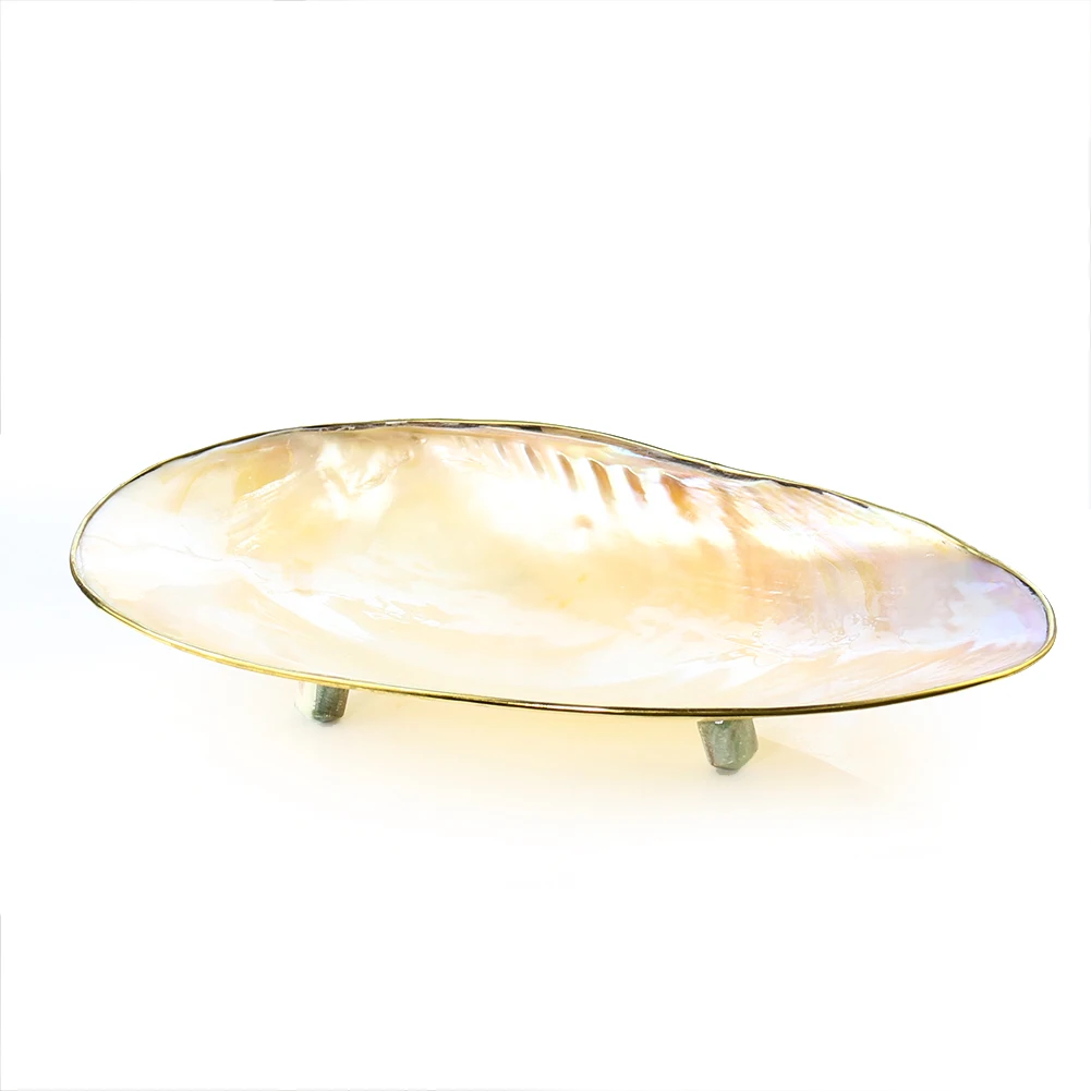 Real Large Clam Seashell Display Tray Fruit Plate Seafood Sushi Dish Jewelry Storage Holder Tray Wedding Party Restaurant Decor
Real Large Clam Seashell Display Tray Fruit Plate Seafood Sushi Dish Jewelry Storage Holder Tray Wedding Party Restaurant Decor