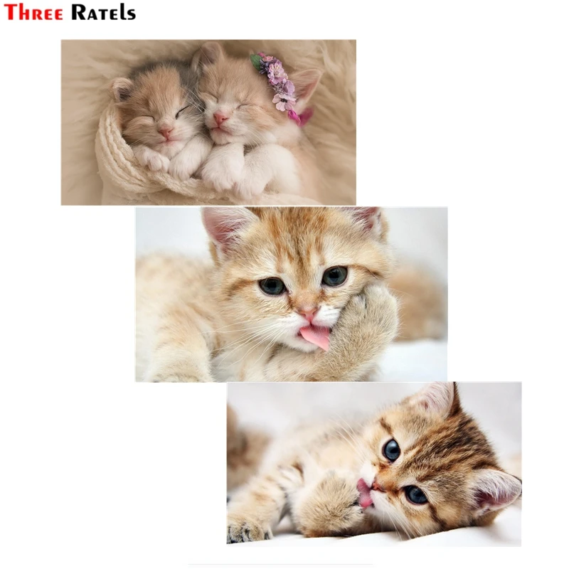 Three Ratels FC62 Cute Kitten Cat Sticker For Car Truck Windshield Home Door Wall Refrigerator Window Toilet Ipad Laptop Guitar
Three Ratels FC62 Cute Kitten Cat Sticker For Car Truck Windshield Home Door Wall Refrigerator Window Toilet Ipad Laptop Guitar