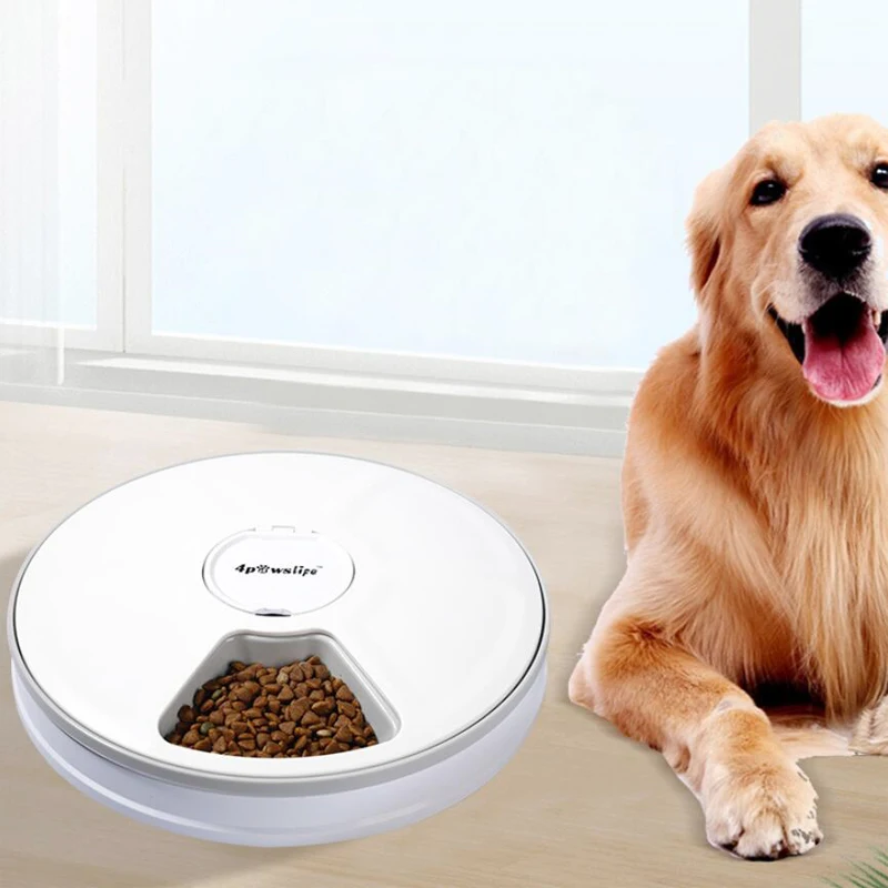 Plug Automatic Pet Feeders With Voice Record Stainless Steel Dog Food Bowl Auto Cat Timer Food Dispenser Cat Dog Accessories
Plug Automatic Pet Feeders With Voice Record Stainless Steel Dog Food Bowl Auto Cat Timer Food Dispenser Cat Dog Accessories