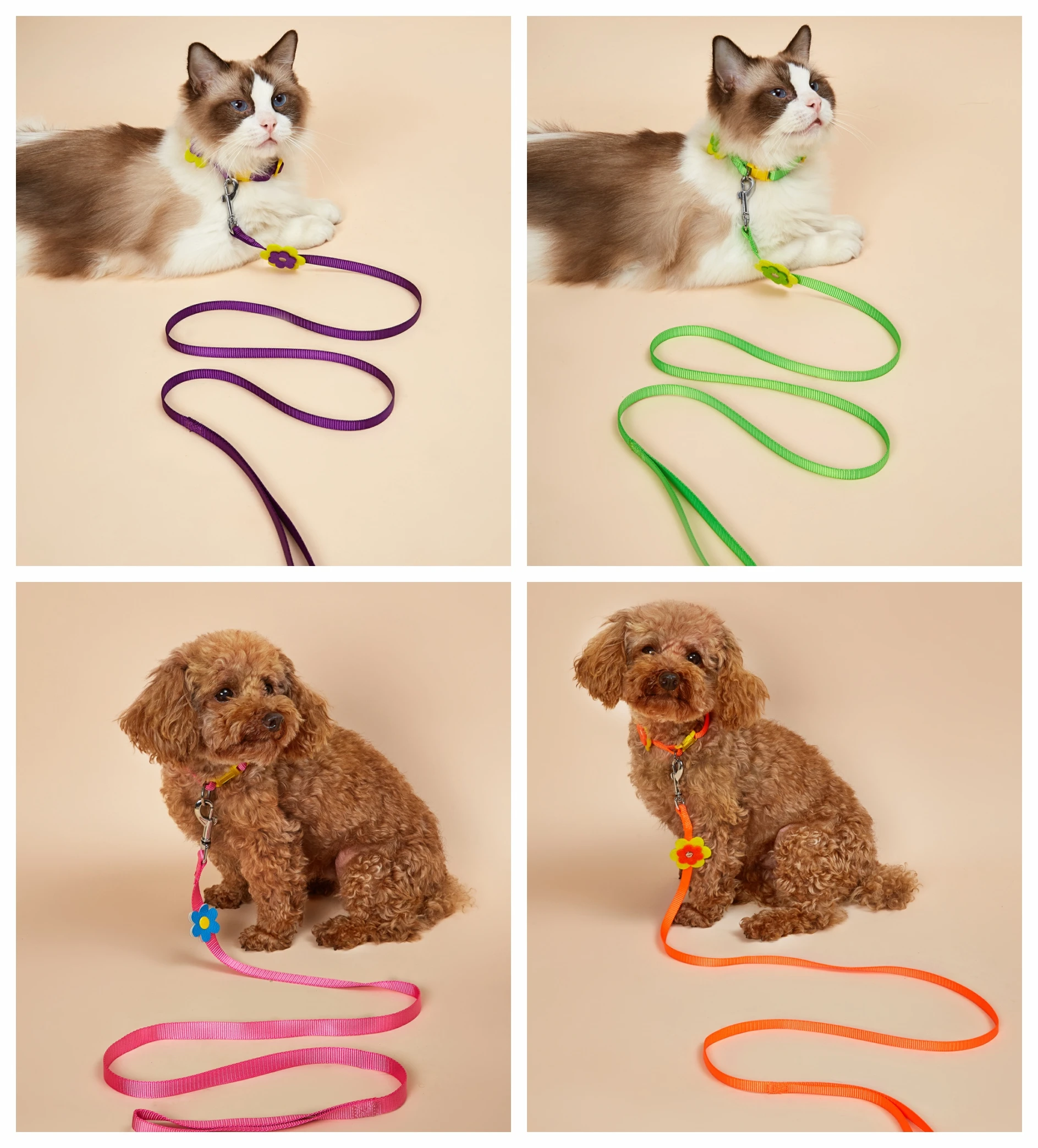 Nylon Training Leash Suitable for Cats Dogs,Multi-Functional Integrated Traction Leash,Safe and Durable
Nylon Training Leash Suitable for Cats Dogs,Multi-Functional Integrated Traction Leash,Safe and Durable