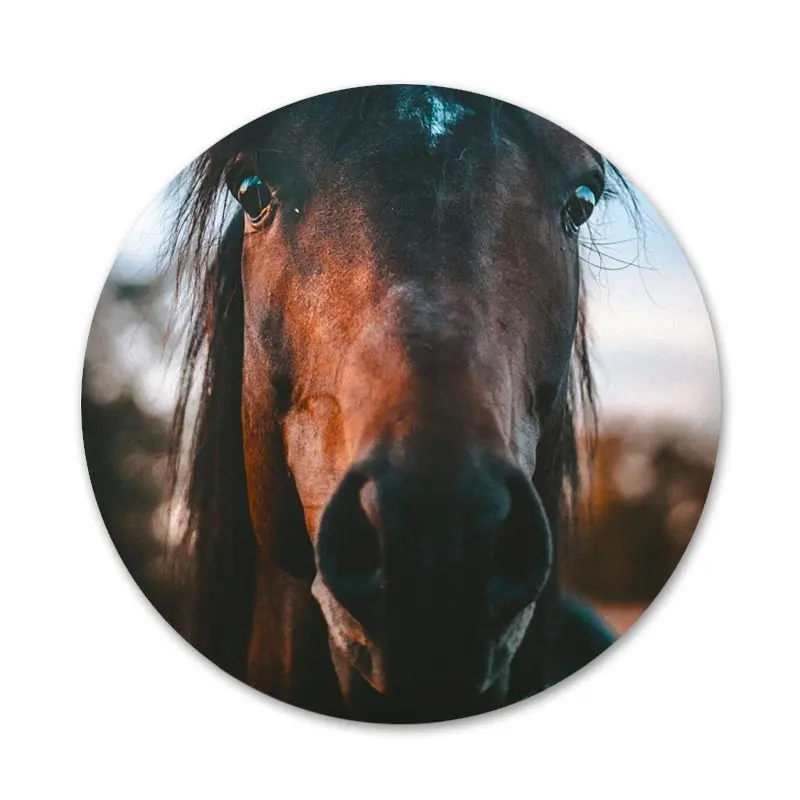 58mm Horse Animal Printed Icons Pins Badge Decoration Brooches Metal Badges For Backpack Decoration
58mm Horse Animal Printed Icons Pins Badge Decoration Brooches Metal Badges For Backpack Decoration