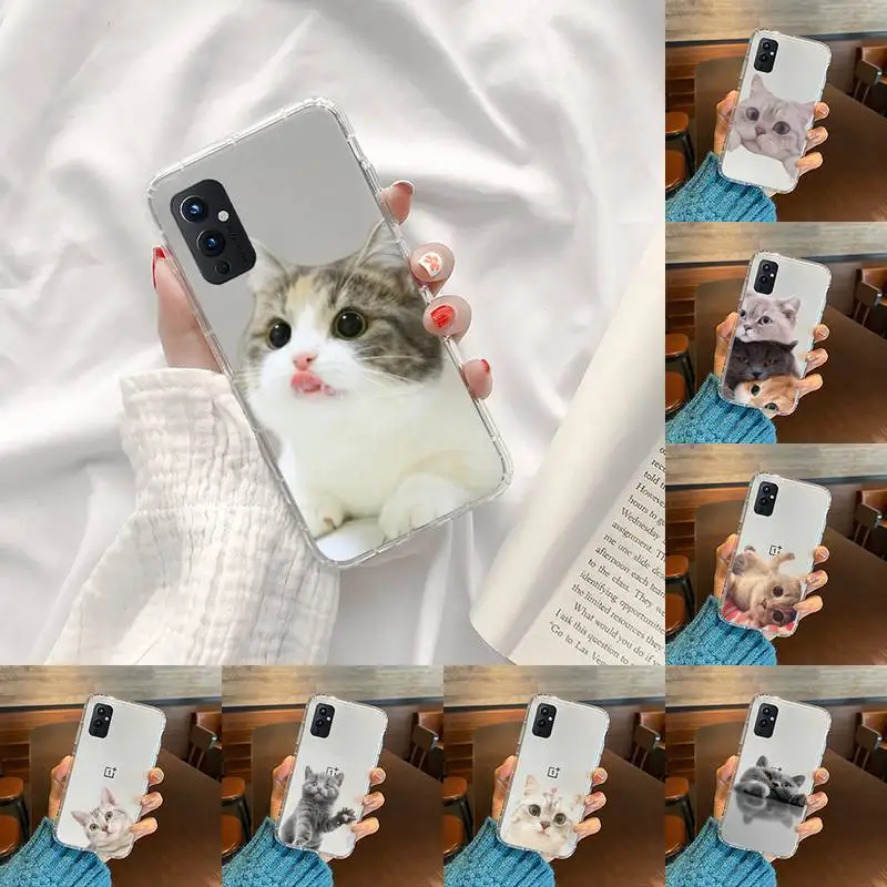 Cat funny cute animal Phone Case Transparent For OnePlus MEIZU MEITU M 7 8 9 16 17 T PRO XS moible bag
Cat funny cute animal Phone Case Transparent For OnePlus MEIZU MEITU M 7 8 9 16 17 T PRO XS moible bag