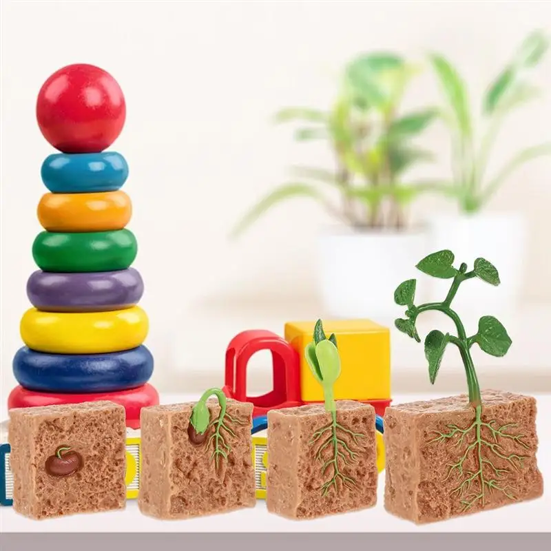 2 Sets Plant Life Cycle Figurines Simulation Plant Ornaments Teaching Tool Home Decorative Craft
2 Sets Plant Life Cycle Figurines Simulation Plant Ornaments Teaching Tool Home Decorative Craft