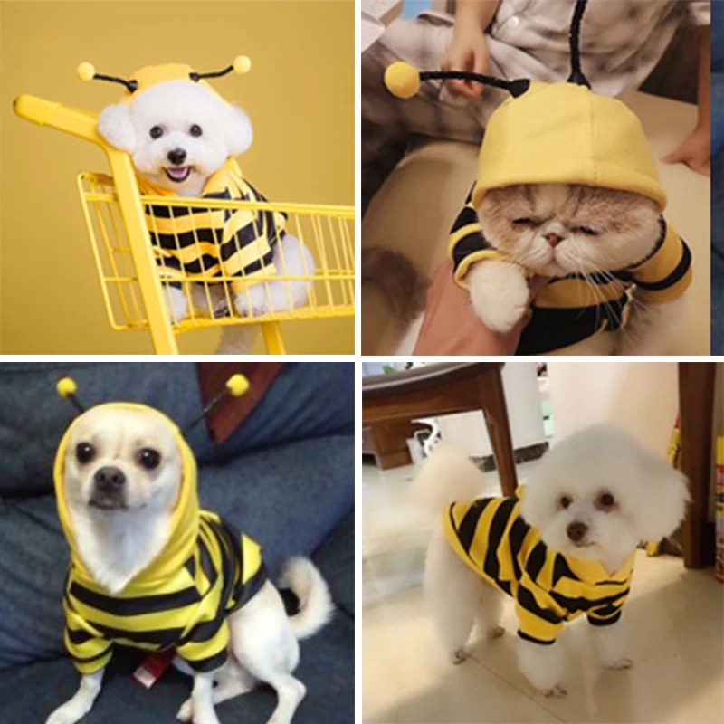 Funny Dog Spring and Autumn Clothes Thin Clothes Teddy Bichon Pomeranian Schnauzer Pet Small Puppy Summer Pet
Funny Dog Spring and Autumn Clothes Thin Clothes Teddy Bichon Pomeranian Schnauzer Pet Small Puppy Summer Pet