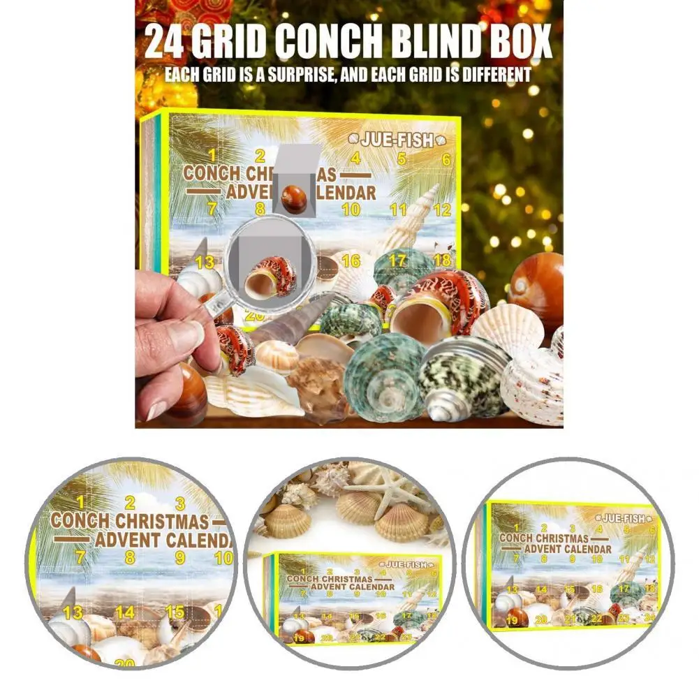 Unique Calendar Box Fun Exquisite Little Conch Christmas Advent Calendar Christmas Blind Box Xmas Blind Box 24Pcs 
Unique Calendar Box Fun Exquisite Little Conch Christmas Advent Calendar Christmas Blind Box Xmas Blind Box 24Pcs
