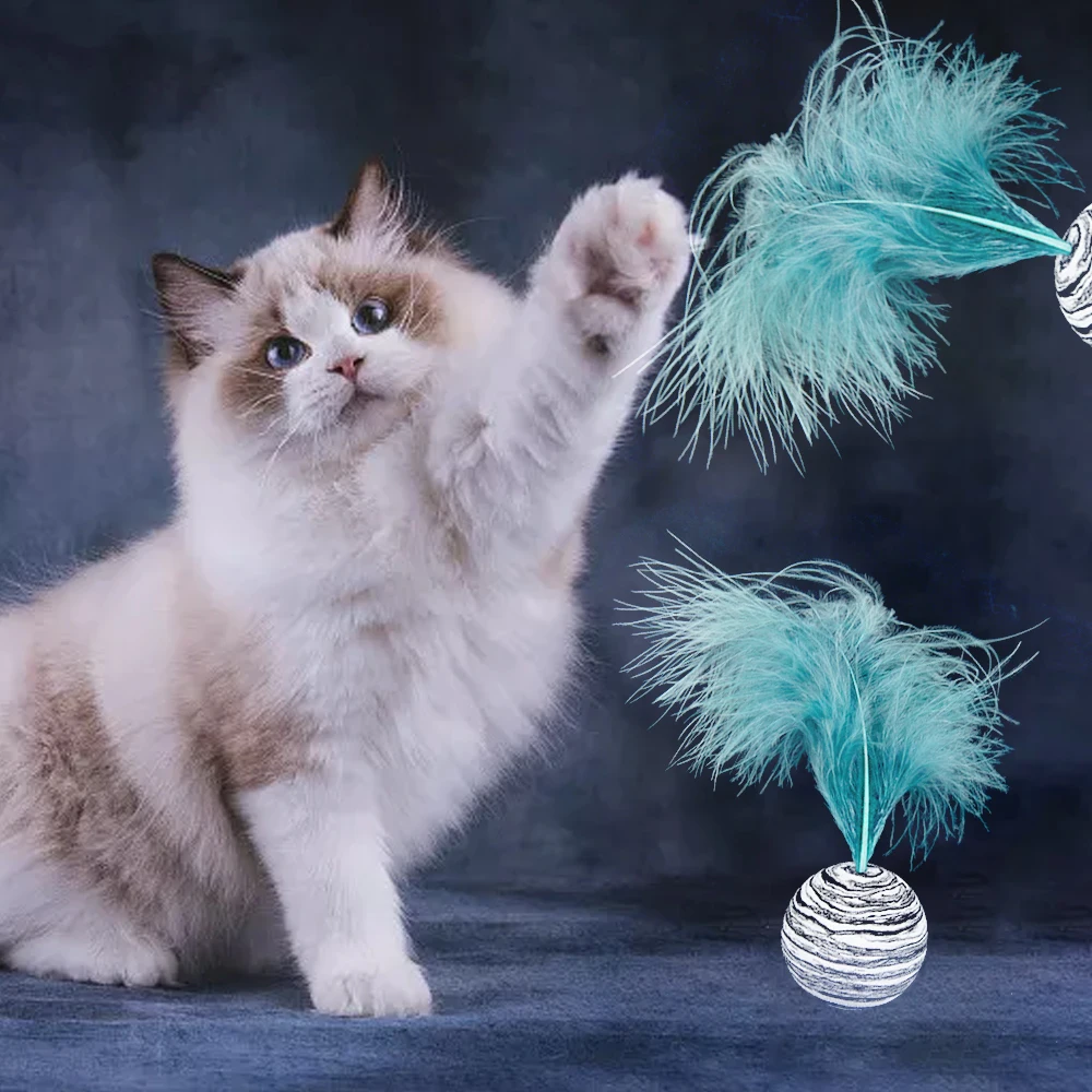 Cat Toy Star Ball Plus Feather EVA Material Light Foam Ball Throwing Toy Funny Interactive Plush Toy Stick Feather Wand Supplies
Cat Toy Star Ball Plus Feather EVA Material Light Foam Ball Throwing Toy Funny Interactive Plush Toy Stick Feather Wand Supplies
