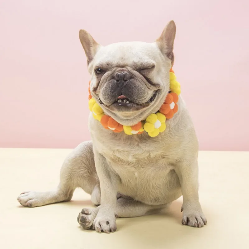 Pet Dog Cat Collar Fashion Flower Smiling Cheese Necklace Decoration Soft Comfortable Holiday Party Pet Decoration Supplies
Pet Dog Cat Collar Fashion Flower Smiling Cheese Necklace Decoration Soft Comfortable Holiday Party Pet Decoration Supplies