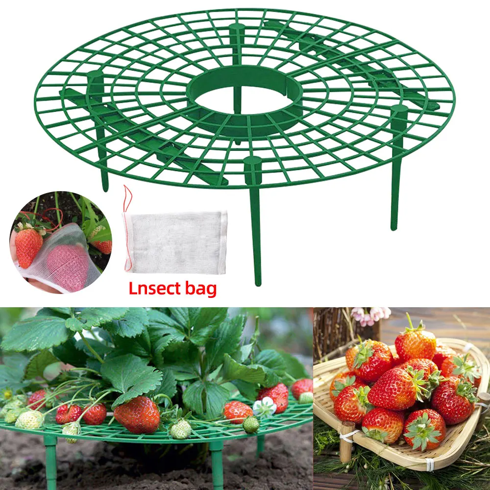 1Pcs Strawberry Plant Supports Strawberry Fruit Growing Stand Frame Pillar Rack Fruit Support Plant Flower Climbing Vine Pillar
1Pcs Strawberry Plant Supports Strawberry Fruit Growing Stand Frame Pillar Rack Fruit Support Plant Flower Climbing Vine Pillar