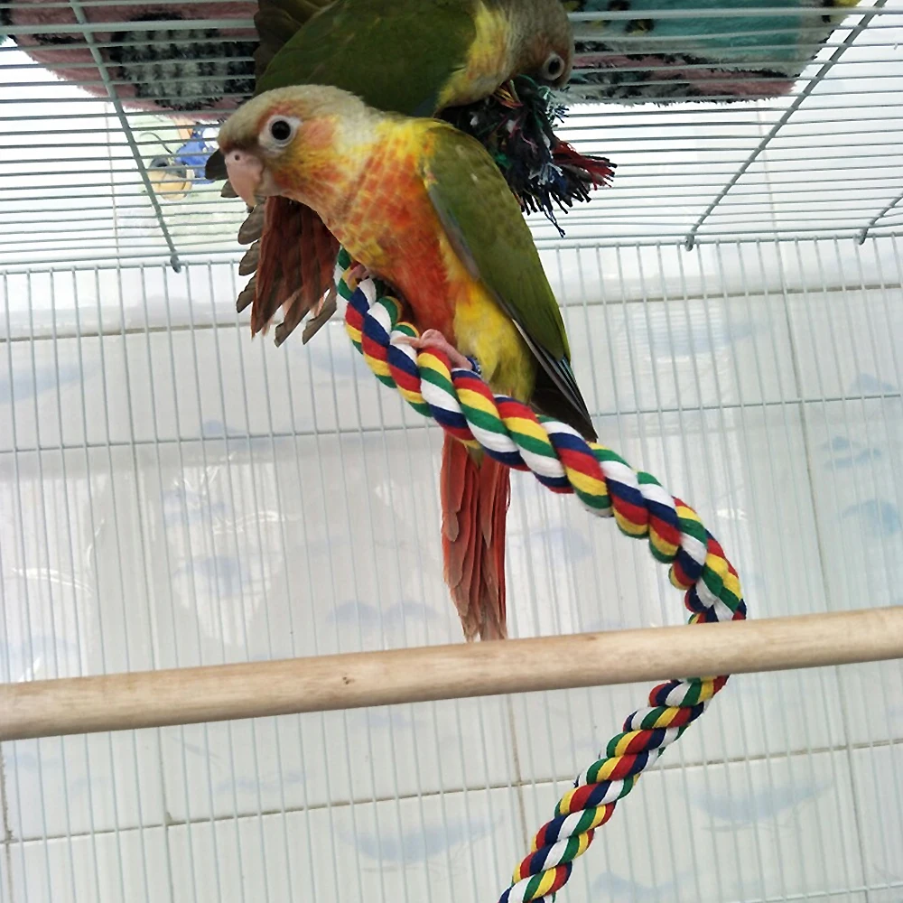 New Parrot Toy Rope Braided Parrot Pet Chew Rope Budgie Perch Coil Bird Cage Cockatiel Toy Pet Birds Training Accessories 2
New Parrot Toy Rope Braided Parrot Pet Chew Rope Budgie Perch Coil Bird Cage Cockatiel Toy Pet Birds Training Accessories 2