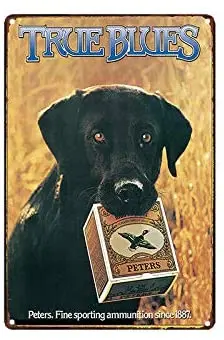 Metal Tin Sign Decor Bar Pub Home Vintage Retro Retro Wall Home Bar Pub Vintage Cafe Decor, 8x12 Inch
Metal Tin Sign Decor Bar Pub Home Vintage Retro Retro Wall Home Bar Pub Vintage Cafe Decor, 8x12 Inch