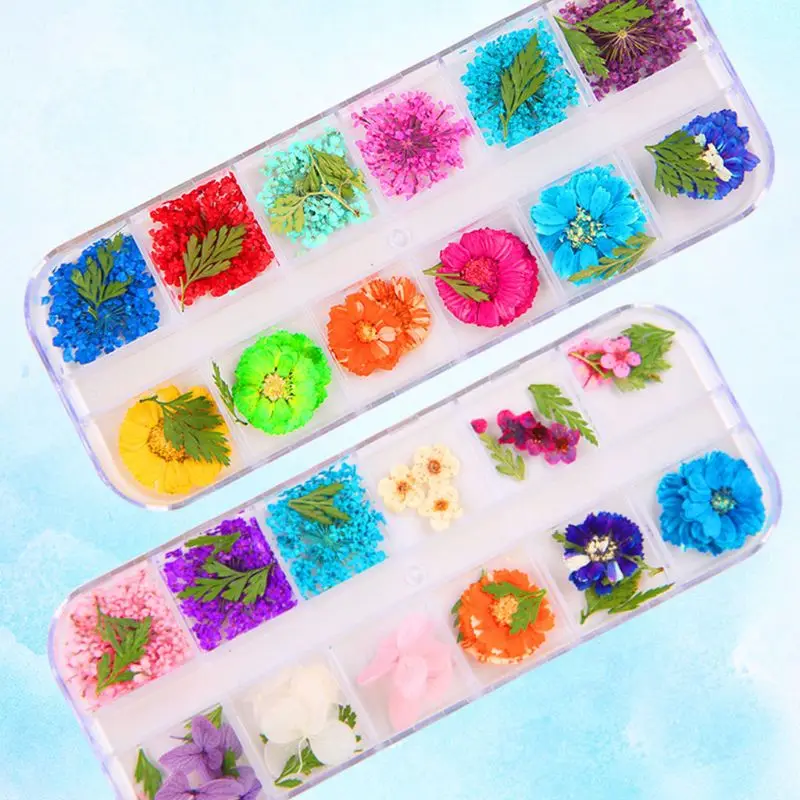 12 Pcs/box Dried Flowers Epoxy Sheet UV Decoration Resin Silicone Mold DIY Jewelry Filler Beauty Nail Accessory
12 Pcs/box Dried Flowers Epoxy Sheet UV Decoration Resin Silicone Mold DIY Jewelry Filler Beauty Nail Accessory
