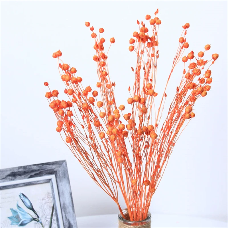 50-60cm Dried Artificial Plant Acacia Bean,Cheap Goods Room Accessories Aesthetic High Quality Garden Party Mariage Decoration
50-60cm Dried Artificial Plant Acacia Bean,Cheap Goods Room Accessories Aesthetic High Quality Garden Party Mariage Decoration
