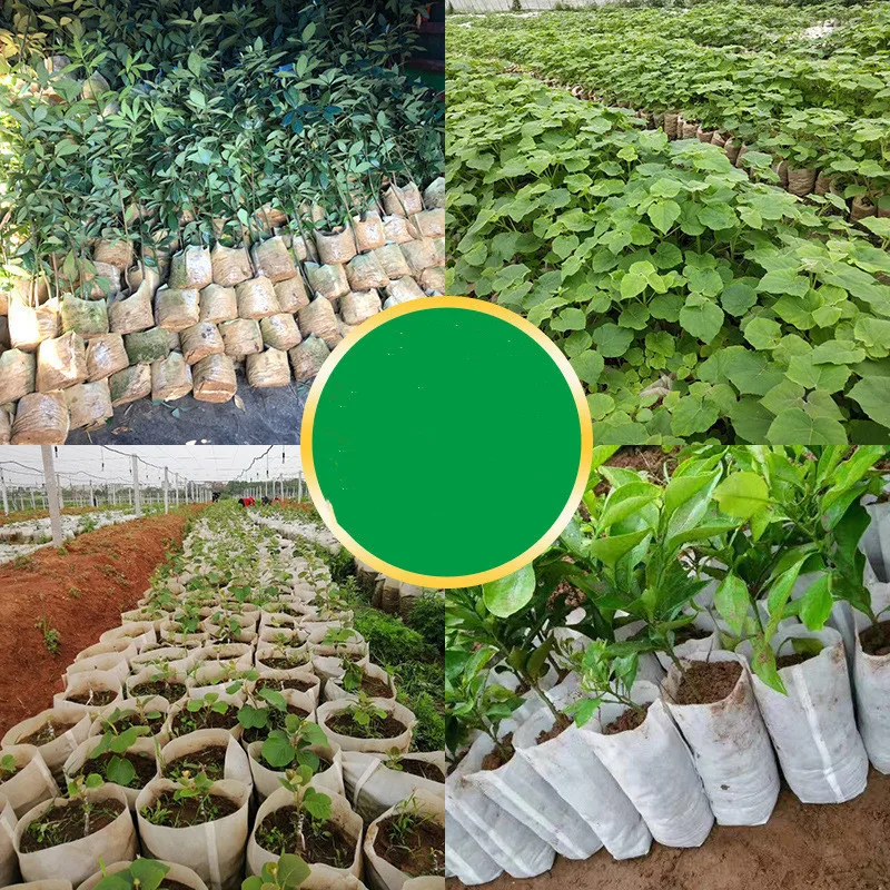 100PCS Seedling Plants Nursery Bags Organic Biodegradable Grow Bags Fabric Eco-friendly Ventilate Growing Planting Bags
100PCS Seedling Plants Nursery Bags Organic Biodegradable Grow Bags Fabric Eco-friendly Ventilate Growing Planting Bags