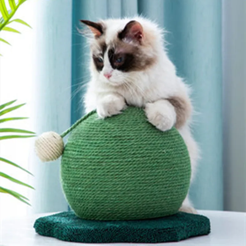 Cactus Cat Scratching Ball Cat Climbing Frame Claw Sharpener Cat Scratching Post Hemp Rope Scratching Board Pet Toy Cat Supplies
Cactus Cat Scratching Ball Cat Climbing Frame Claw Sharpener Cat Scratching Post Hemp Rope Scratching Board Pet Toy Cat Supplies
