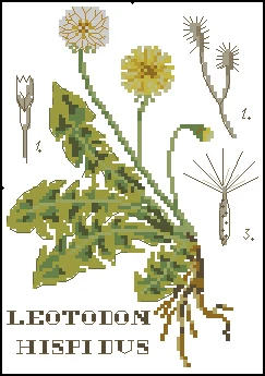 ZZ1893 Decoration Home Decor New Arrival Homfun Craft Christmas Cross Stich Set NO Hoop Counted DIY Cross Stitch Kit Painting
ZZ1893 Decoration Home Decor New Arrival Homfun Craft Christmas Cross Stich Set NO Hoop Counted DIY Cross Stitch Kit Painting