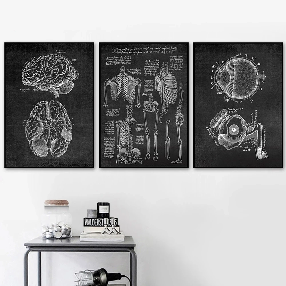 Wall Art Prints Nordic Style Canvas Painting Muscle Foot Bone Heart Anatomy Skeleton Poster Modular Pictures Home Decor For Gift
Wall Art Prints Nordic Style Canvas Painting Muscle Foot Bone Heart Anatomy Skeleton Poster Modular Pictures Home Decor For Gift