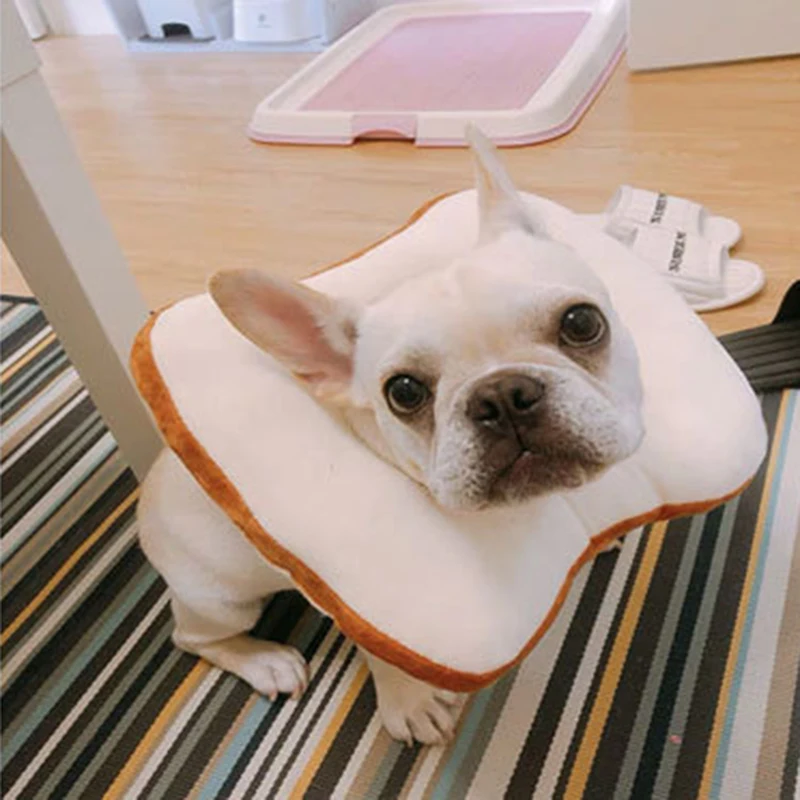 Bread Shape Cat Collar Wound Healing Toast Cat Scarf Collars Protection Neck Ring For Bread Pet Collars For Small Dog
Bread Shape Cat Collar Wound Healing Toast Cat Scarf Collars Protection Neck Ring For Bread Pet Collars For Small Dog