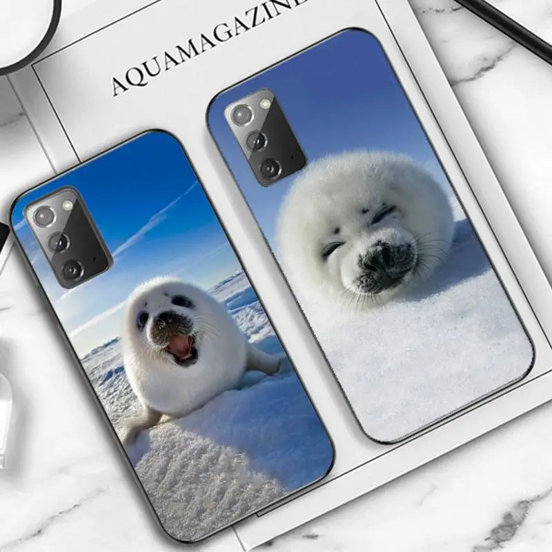 YNDFCNB Baby Harp Seal Sea Lion Phone Case for Samsung Note 5 7 8 9 10 20 pro plus lite ultra A21 12 02
YNDFCNB Baby Harp Seal Sea Lion Phone Case for Samsung Note 5 7 8 9 10 20 pro plus lite ultra A21 12 02
