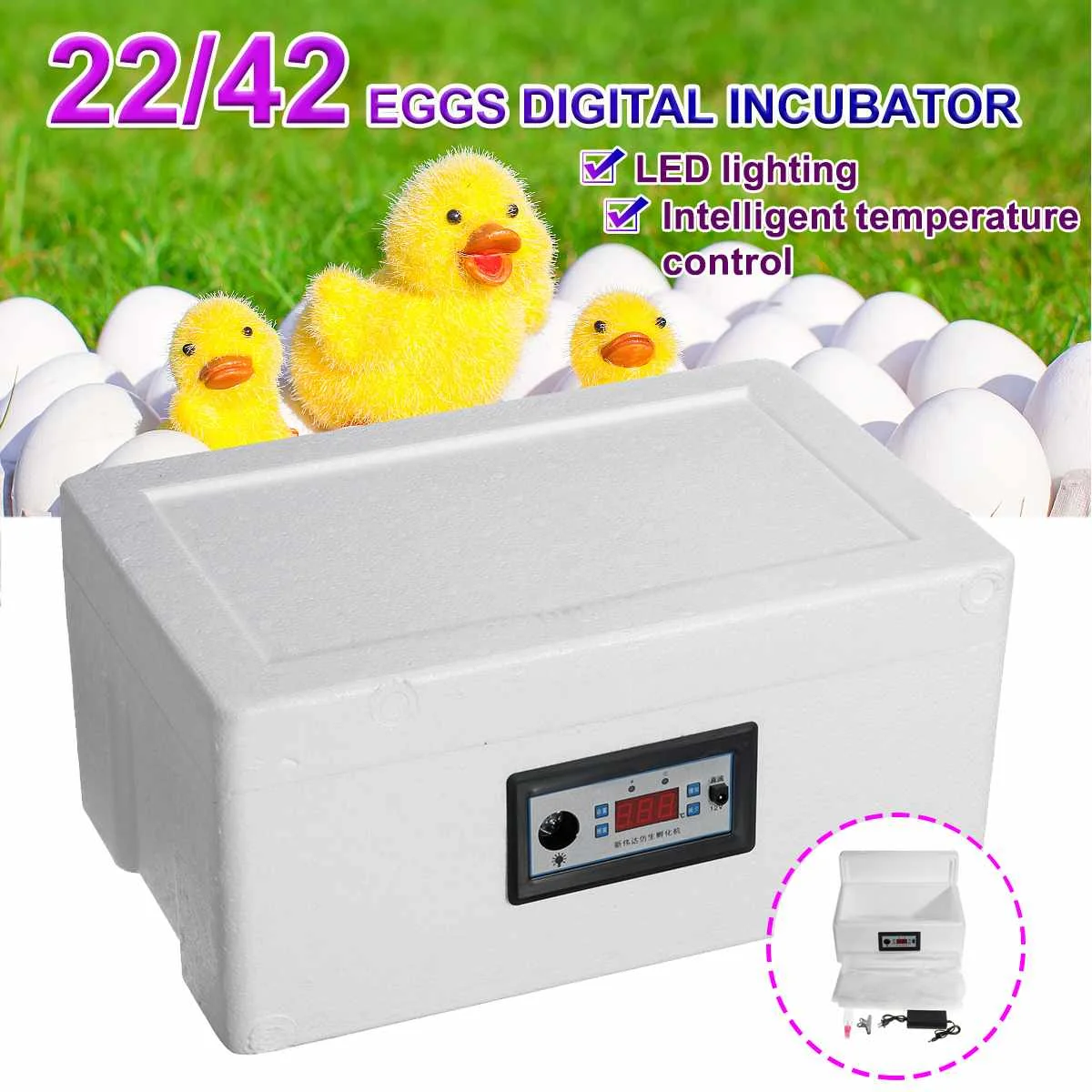 22/42 Eggs Incubation Box Digital Incubator Automatic Suitable for Hatching Snake Lizards Reptile Breeding Box with LED Lighting
22/42 Eggs Incubation Box Digital Incubator Automatic Suitable for Hatching Snake Lizards Reptile Breeding Box with LED Lighting