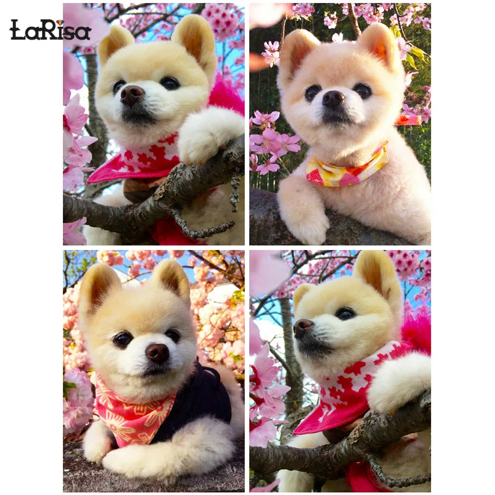 Full Square Round Diamond Painting Hiromi Dog 5D DIY Diamond Embroidery Animals Rhinestone Picture Cross Stitch Kit Home Decor
Full Square Round Diamond Painting Hiromi Dog 5D DIY Diamond Embroidery Animals Rhinestone Picture Cross Stitch Kit Home Decor