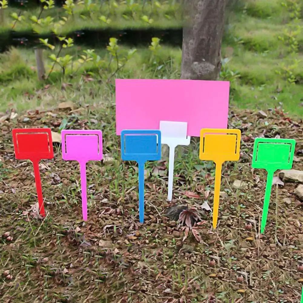 20Pcs T-type Gardening Plant Labels T Type Garden Labels Nursery Markers Waterproof Labels Tree Plant Marker Tags with Card Slot
20Pcs T-type Gardening Plant Labels T Type Garden Labels Nursery Markers Waterproof Labels Tree Plant Marker Tags with Card Slot