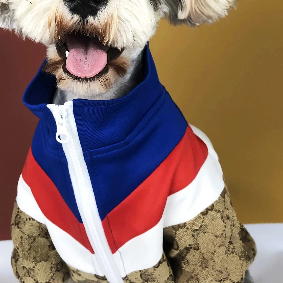 Fashion Brand Dog Jacket Luxury Designer Teddy French Bulldog Chihuahua Puppy Pet Clothes Three Color For Small Medium Clothing 
Fashion Brand Dog Jacket Luxury Designer Teddy French Bulldog Chihuahua Puppy Pet Clothes Three Color For Small Medium Clothing