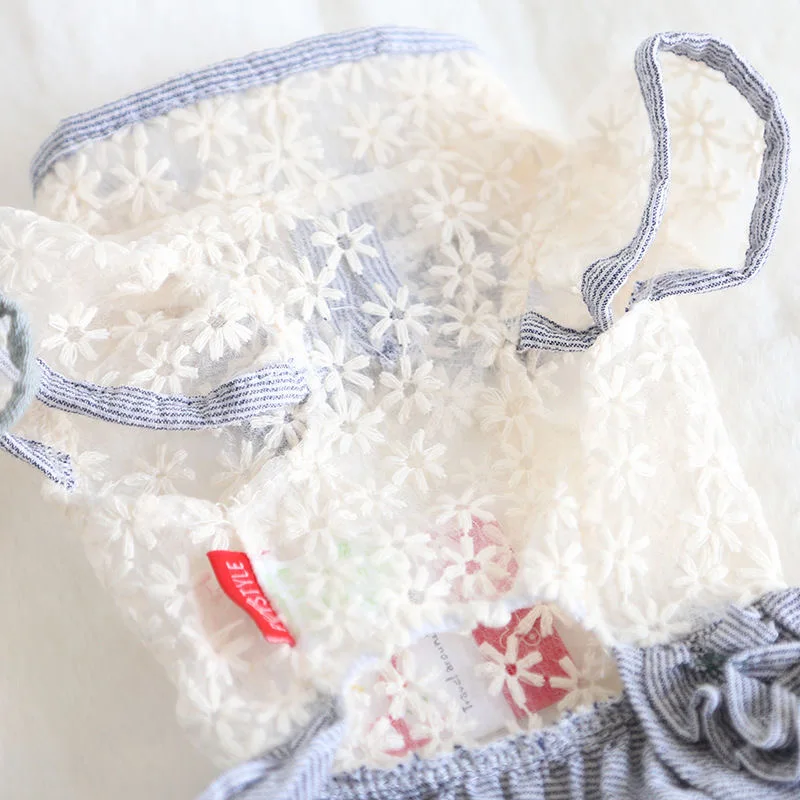 Dog Dress Pets Outfits Dog Clothes Dog Skirt Puppy Pet Costume for Small Dog Party Temperament Princess Spring Summer Lace Grey
Dog Dress Pets Outfits Dog Clothes Dog Skirt Puppy Pet Costume for Small Dog Party Temperament Princess Spring Summer Lace Grey