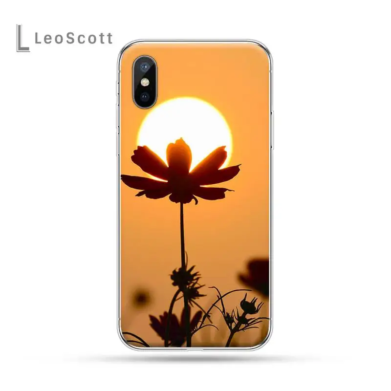 Daisy Wildflowers Flower art Phone Case for iPhone 11 12 pro XS MAX 8 7 6 6S Plus X 5S SE 2020 XR
Daisy Wildflowers Flower art Phone Case for iPhone 11 12 pro XS MAX 8 7 6 6S Plus X 5S SE 2020 XR