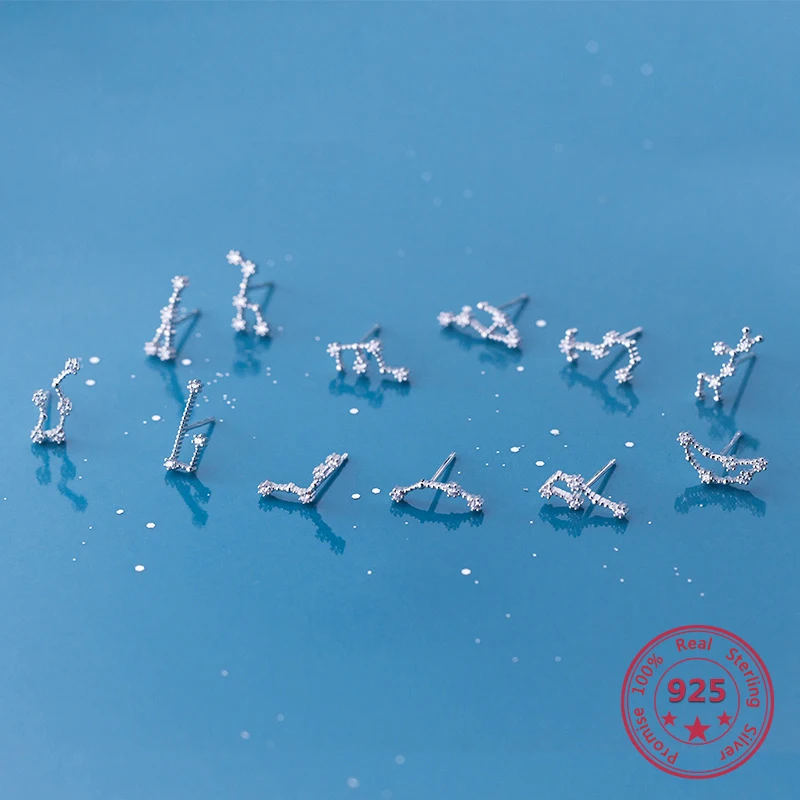 Korean Version Fashion 925 Sterling Silver Twelve Constellations Zircon Women's Stud Earrings Simple Jewelry Holiday Gift
Korean Version Fashion 925 Sterling Silver Twelve Constellations Zircon Women's Stud Earrings Simple Jewelry Holiday Gift