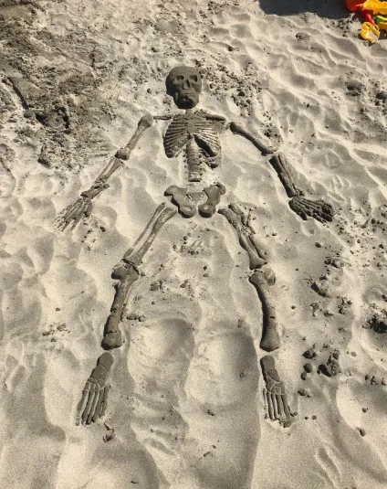 Children's Summer Beach Toys Digging Props Human Skeletons Skeleton Molds Individuality Creativity Human Skeleton Beach Toys
Children's Summer Beach Toys Digging Props Human Skeletons Skeleton Molds Individuality Creativity Human Skeleton Beach Toys