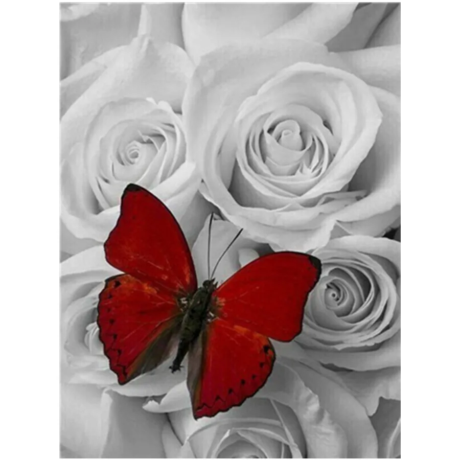 5D Diamond Painting Red Rose Flower Black and White Series Full Square Diamond Inlaid Embroidery Inlaid Home Decoration
5D Diamond Painting Red Rose Flower Black and White Series Full Square Diamond Inlaid Embroidery Inlaid Home Decoration