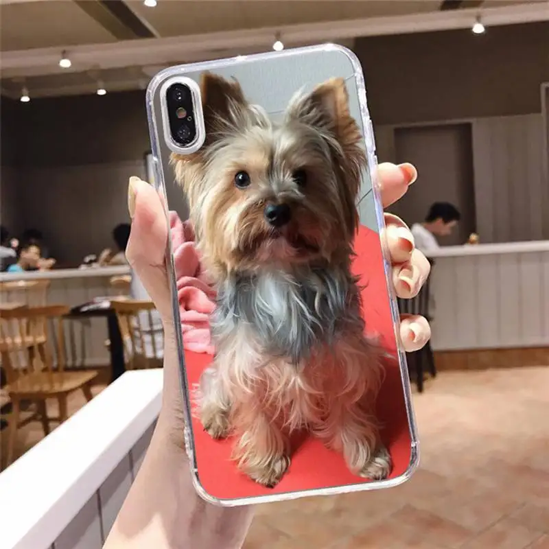 Mini Yorkshire Terrier Dog cute animal Phone Cases Transparent soft For iphone 5 s c se 6 6s 7 8 11 12 plus mini x xs xr pro max
Mini Yorkshire Terrier Dog cute animal Phone Cases Transparent soft For iphone 5 s c se 6 6s 7 8 11 12 plus mini x xs xr pro max