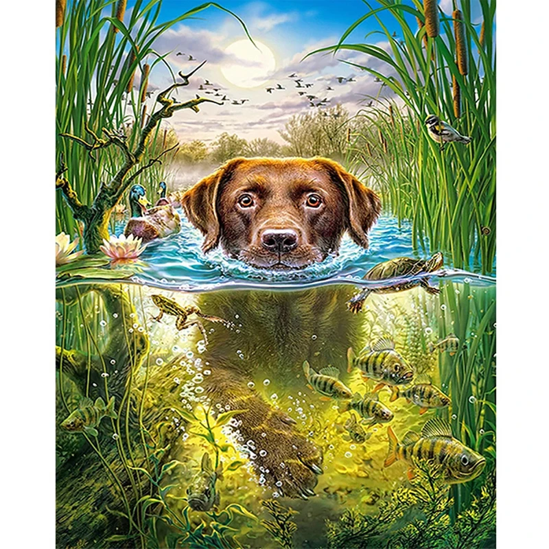 5D DIY Diamond Painting "Dog Swimming" Full Round Drill Home Decor Painting Cross Stitch Embroidery Mosaic Picture
5D DIY Diamond Painting "Dog Swimming" Full Round Drill Home Decor Painting Cross Stitch Embroidery Mosaic Picture
