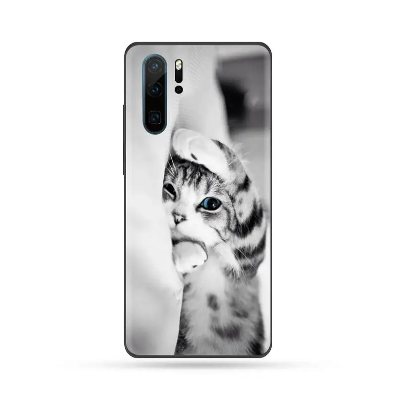 Cute Animal Cat Phone Cases For Huawei Mate 9 10 20 Pro lite 20x nova 3e P10 plus P20 Pro Honor10 lite
Cute Animal Cat Phone Cases For Huawei Mate 9 10 20 Pro lite 20x nova 3e P10 plus P20 Pro Honor10 lite