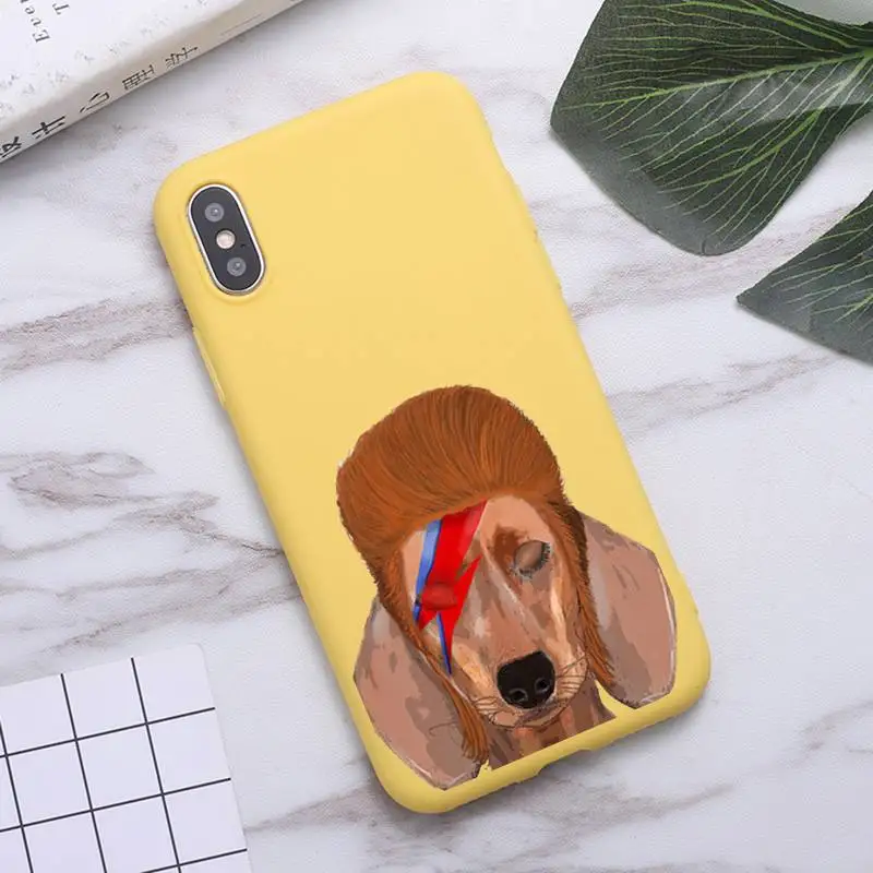 Dachshund Sausage Dog cute cartoon animal luxury Phone Case Candy Color for iPhone 6 7 8 11 12 s mini pro X XS XR MAX Plus
Dachshund Sausage Dog cute cartoon animal luxury Phone Case Candy Color for iPhone 6 7 8 11 12 s mini pro X XS XR MAX Plus