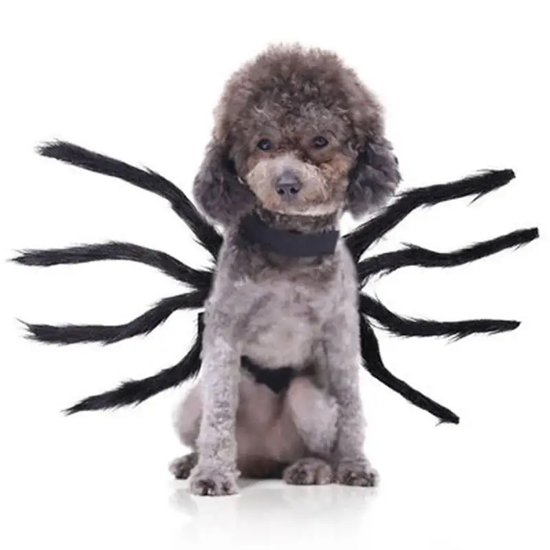 Fashion Pet Dogs Clothes Halloween Spider Cosplay Costume Small Dog Dressing Up Vest Clothes For Chihuahua Teddy French Bulldog 
Fashion Pet Dogs Clothes Halloween Spider Cosplay Costume Small Dog Dressing Up Vest Clothes For Chihuahua Teddy French Bulldog