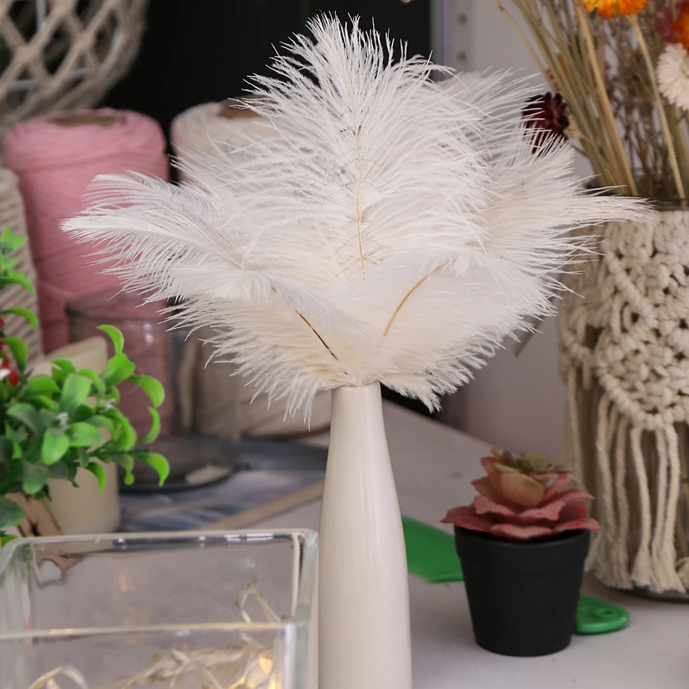 10pcs Elegant Ostrich Feather White Black Red Fluffy Feather for Wedding Party Home Room DIY Decorations 15-20cm
10pcs Elegant Ostrich Feather White Black Red Fluffy Feather for Wedding Party Home Room DIY Decorations 15-20cm