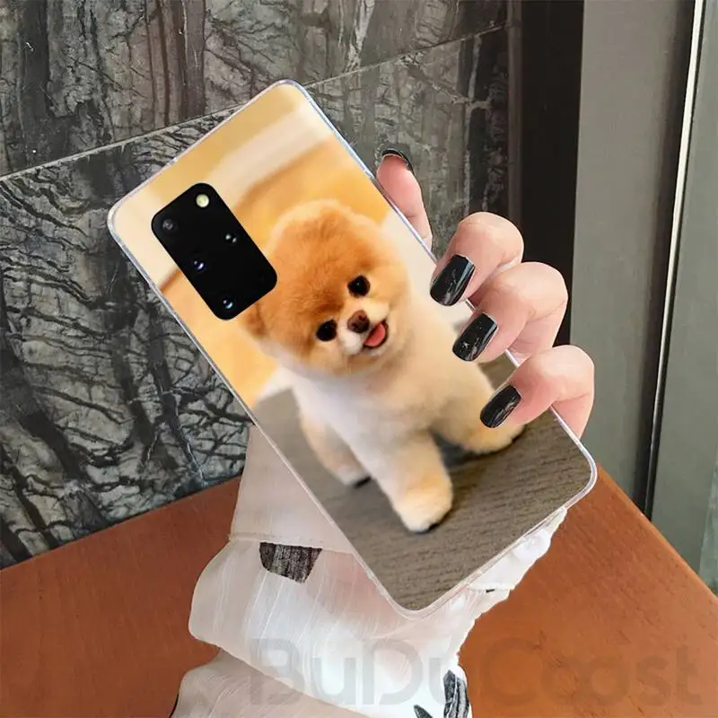 CUCI Pomeranian dogs dog Phone Case for Samsung Galaxy S10 S10E Lite s6 s7 s8plus s9plus S5 S20
CUCI Pomeranian dogs dog Phone Case for Samsung Galaxy S10 S10E Lite s6 s7 s8plus s9plus S5 S20