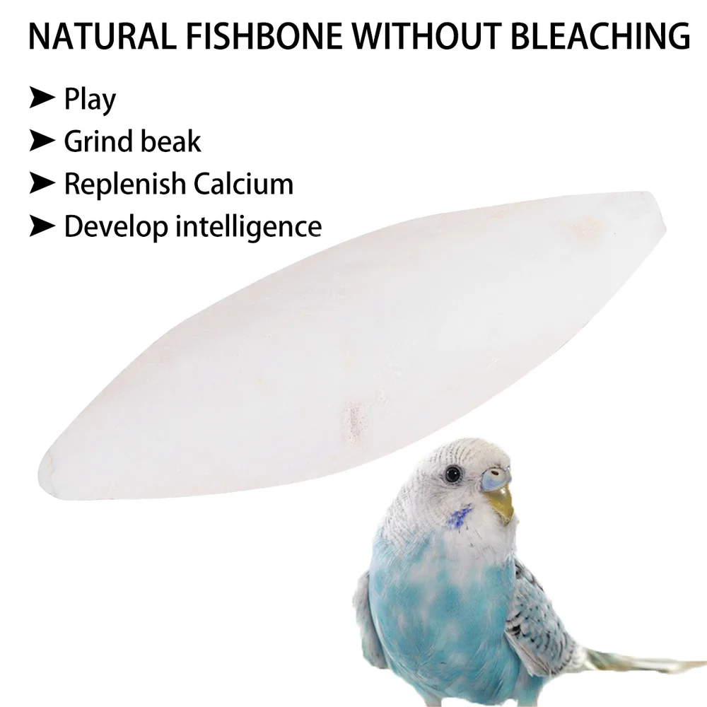 6 Set Bird Cuttlebone Cuddle Bone Chewing Cuttlefish Bone with Metal Holder
6 Set Bird Cuttlebone Cuddle Bone Chewing Cuttlefish Bone with Metal Holder
