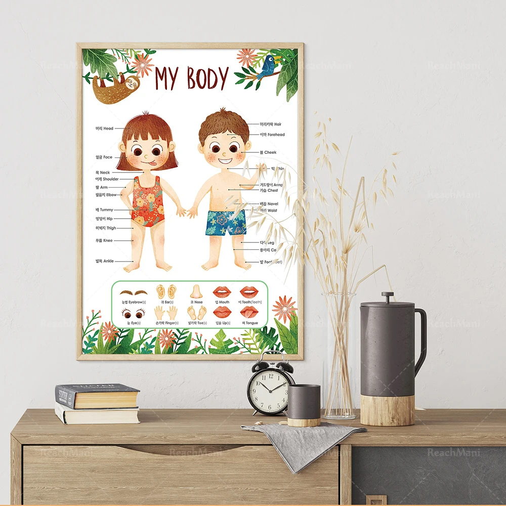 Cute kids education body posters, Korean posters, printed illustrations, children’s kindergarten interior decoration
Cute kids education body posters, Korean posters, printed illustrations, children’s kindergarten interior decoration