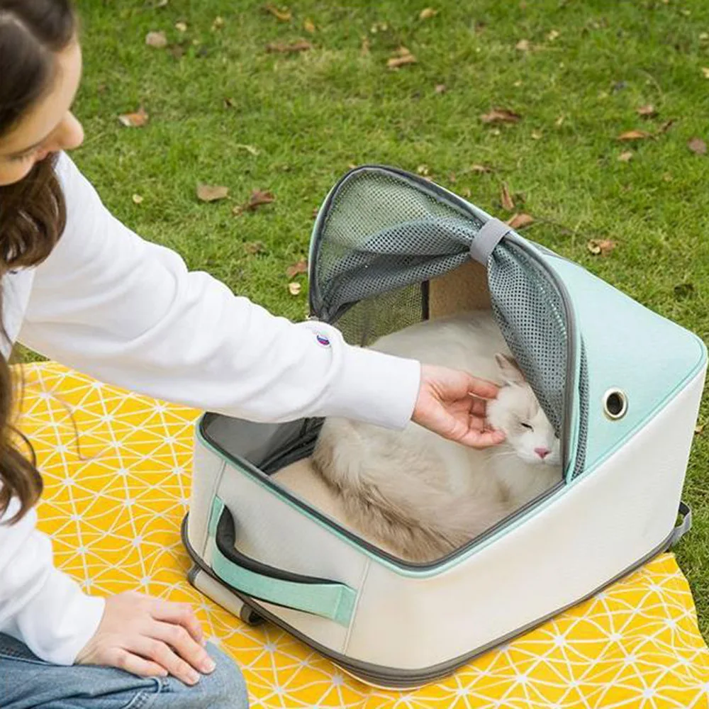 Travel Pet Backpack Dog Carrier Pets Bags Comfortable Breathable With Safety Rope Inside Ventilation Portable For Dogs Cats
Travel Pet Backpack Dog Carrier Pets Bags Comfortable Breathable With Safety Rope Inside Ventilation Portable For Dogs Cats