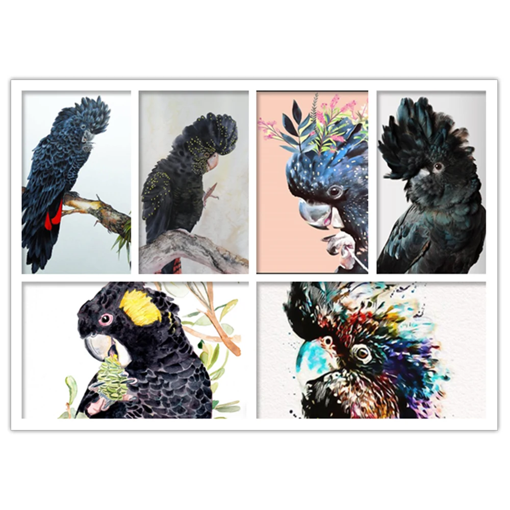 5d Diy Diamond Painting Black Cockatoo Diamond Embroidery Australian Parrot Full square Drill Mosaic Handmade birds picture Gift
5d Diy Diamond Painting Black Cockatoo Diamond Embroidery Australian Parrot Full square Drill Mosaic Handmade birds picture Gift