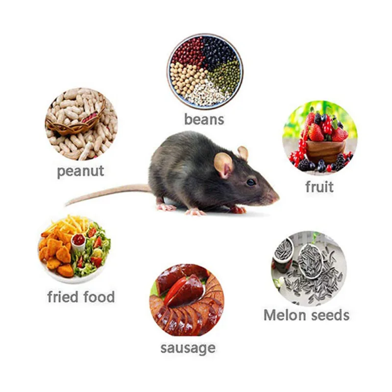 5PCS Mouse Glue Trap Mice Board Sticky High Effective Rodent Rat Snake Bugs Catcher Pest Control Reject Non-toxic Eco-Friendly
5PCS Mouse Glue Trap Mice Board Sticky High Effective Rodent Rat Snake Bugs Catcher Pest Control Reject Non-toxic Eco-Friendly