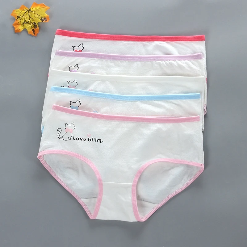 Girl Bra Teen Underwear Vest Teenage Training Bras Small Vest Puberty Clothing Cute Cartoon Teen Girls Underwear for 8-15Years
Girl Bra Teen Underwear Vest Teenage Training Bras Small Vest Puberty Clothing Cute Cartoon Teen Girls Underwear for 8-15Years