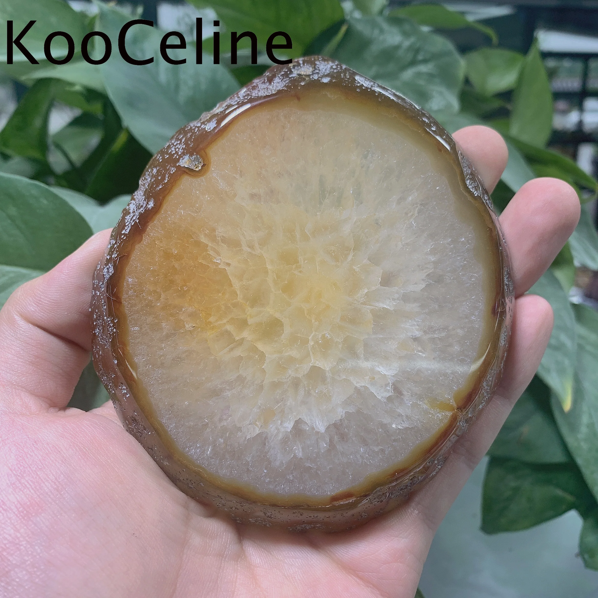 15mm Natural Crystals Quartz Agate Plate Energy Reiki Healing Stones Specimen Aquarium Home Room Decoration Accessories Gemstone 
15mm Natural Crystals Quartz Agate Plate Energy Reiki Healing Stones Specimen Aquarium Home Room Decoration Accessories Gemstone