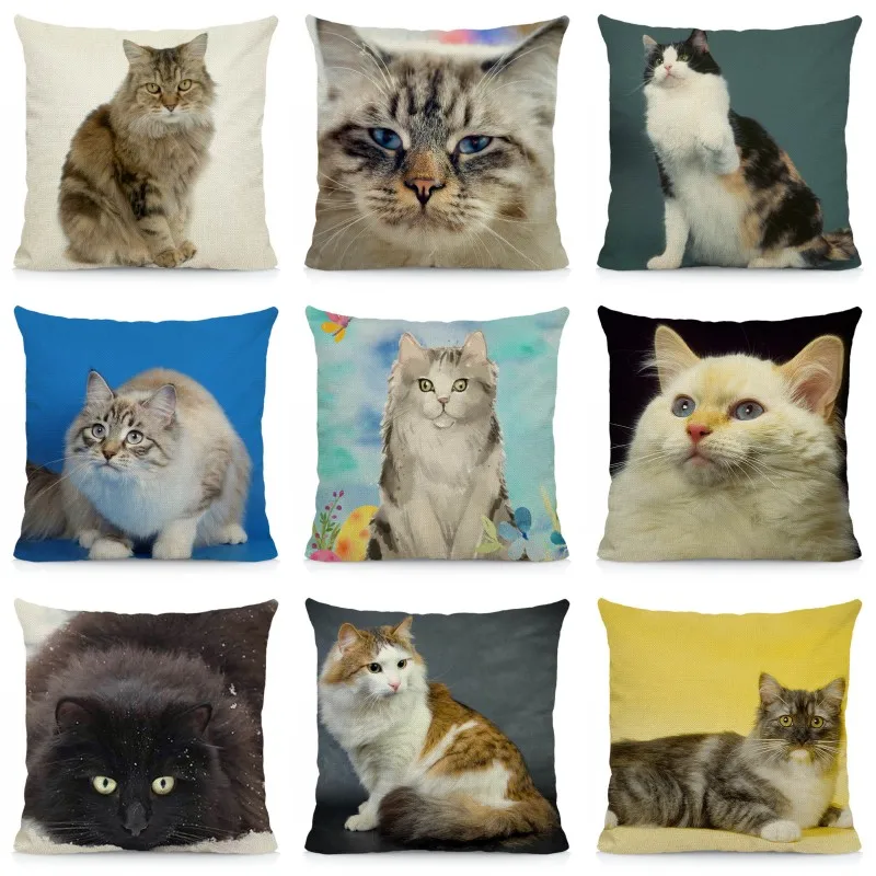 XUNYU Cute RagaMuffin Cat Cushion Cover Animal Print Throw Pillow Case 45x45cm DWM011
XUNYU Cute RagaMuffin Cat Cushion Cover Animal Print Throw Pillow Case 45x45cm DWM011