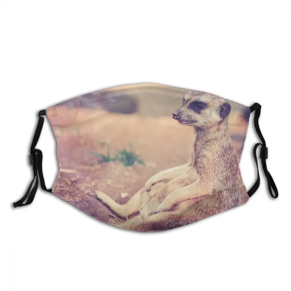 Meerkat Animal Non Disposable Printed Mouth Face Mask with Filters Anti Wind Cold Proof Polyester Protection Cover Muffle Adult
Meerkat Animal Non Disposable Printed Mouth Face Mask with Filters Anti Wind Cold Proof Polyester Protection Cover Muffle Adult
