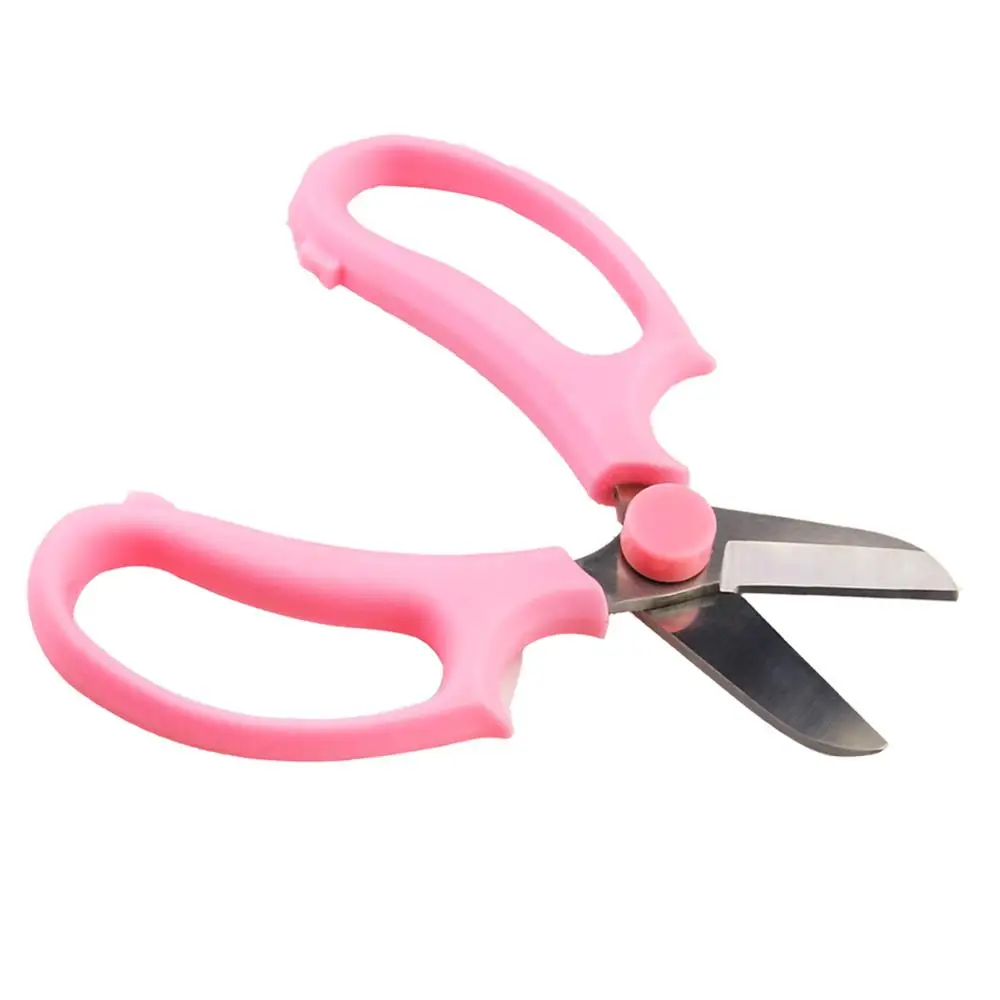 Floral Scissors Tool Set Gardening Pruning Shears Flowers Artificial Plants Flower Shop Special Scissors Stabbing Pliers
Floral Scissors Tool Set Gardening Pruning Shears Flowers Artificial Plants Flower Shop Special Scissors Stabbing Pliers